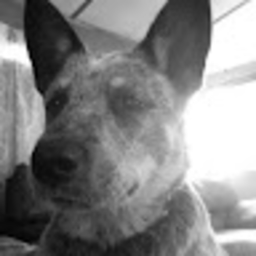 Meet your Posher, Jade